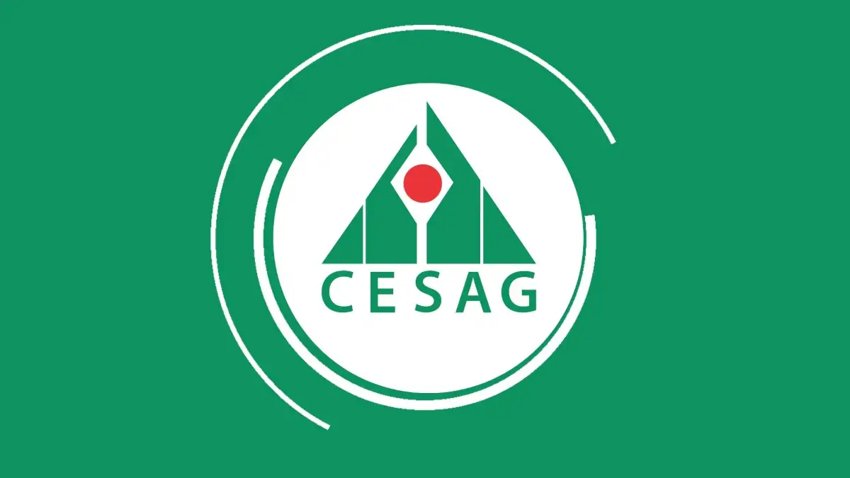 Centre Africain d'Études Supérieures en Gestion